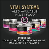 Vital Systems Adult Dry Cat Food Chicken 3Lb - stylishhomedecor2024.com