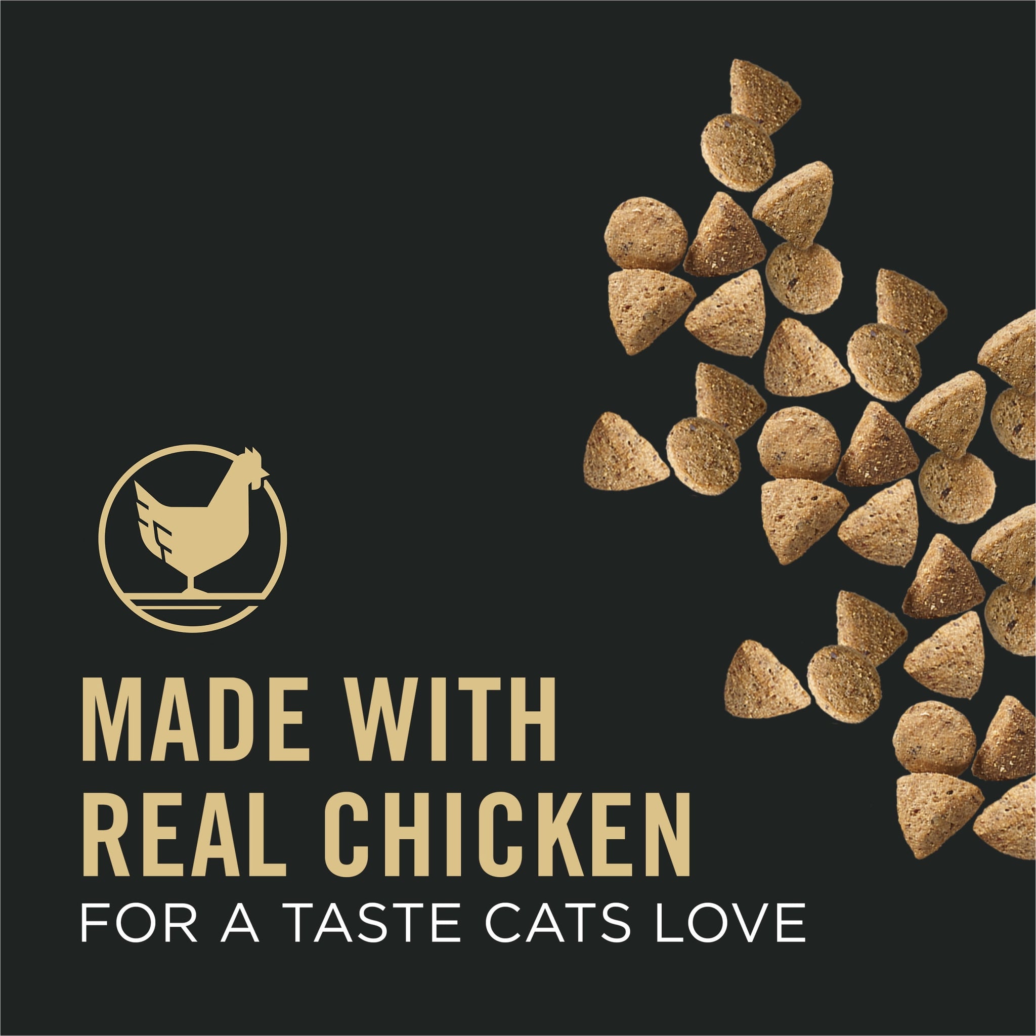 Vital Systems Adult Dry Cat Food Chicken 3Lb - stylishhomedecor2024.com