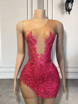 Sexy Sheer Mesh Women Cocktail Birthday Formal Gowns Hot Pink Beaded Applique African Black Girls Short Prom Dresses 2025