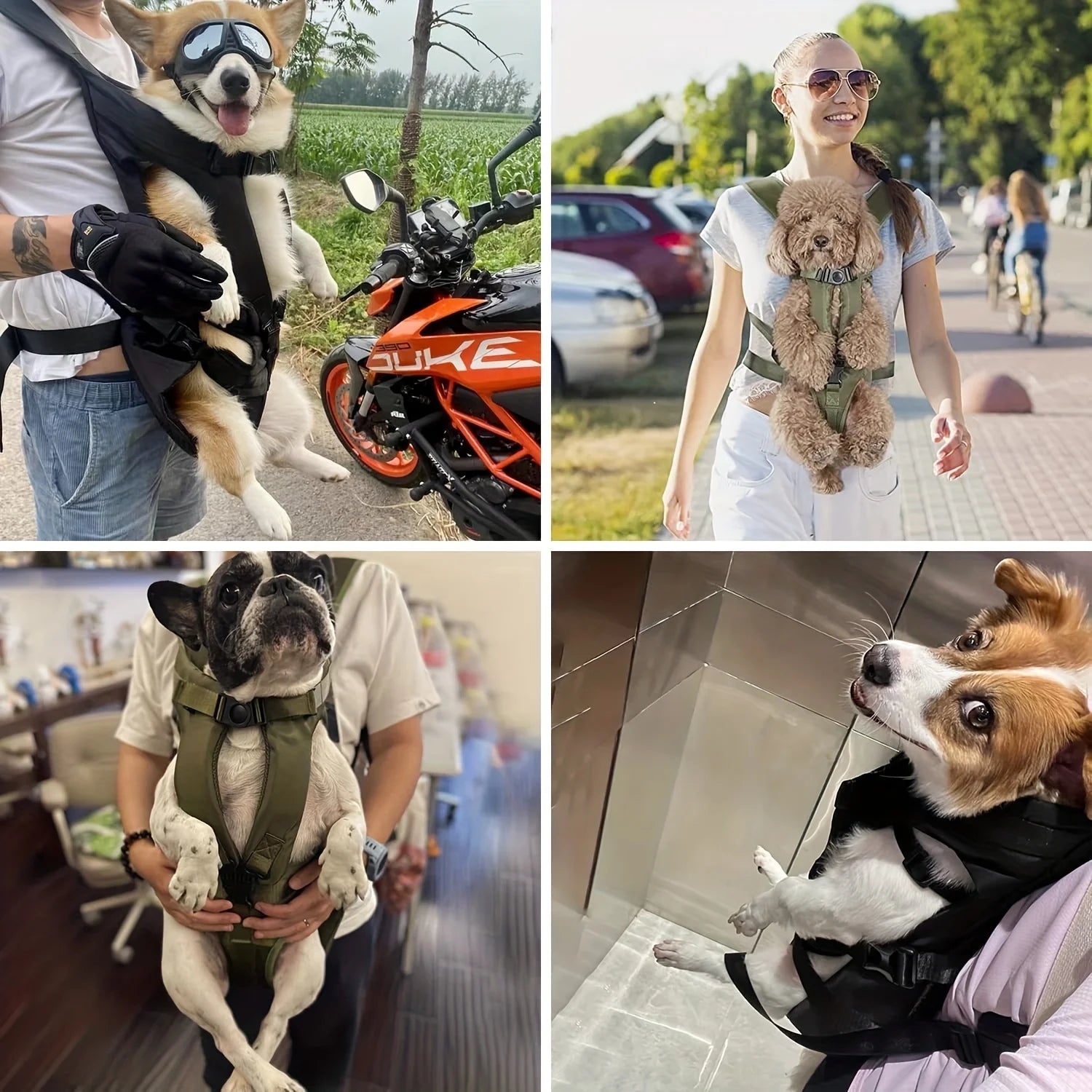 Pet Front Dog Carrier Backpacks, Adjustable Hands Free Dog Backpack Carrier for Medium Small Dogs - stylishhomedecor2024.com