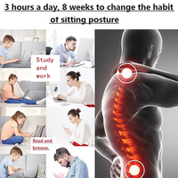 Adjustable Posture Corrector with Low-Back Support