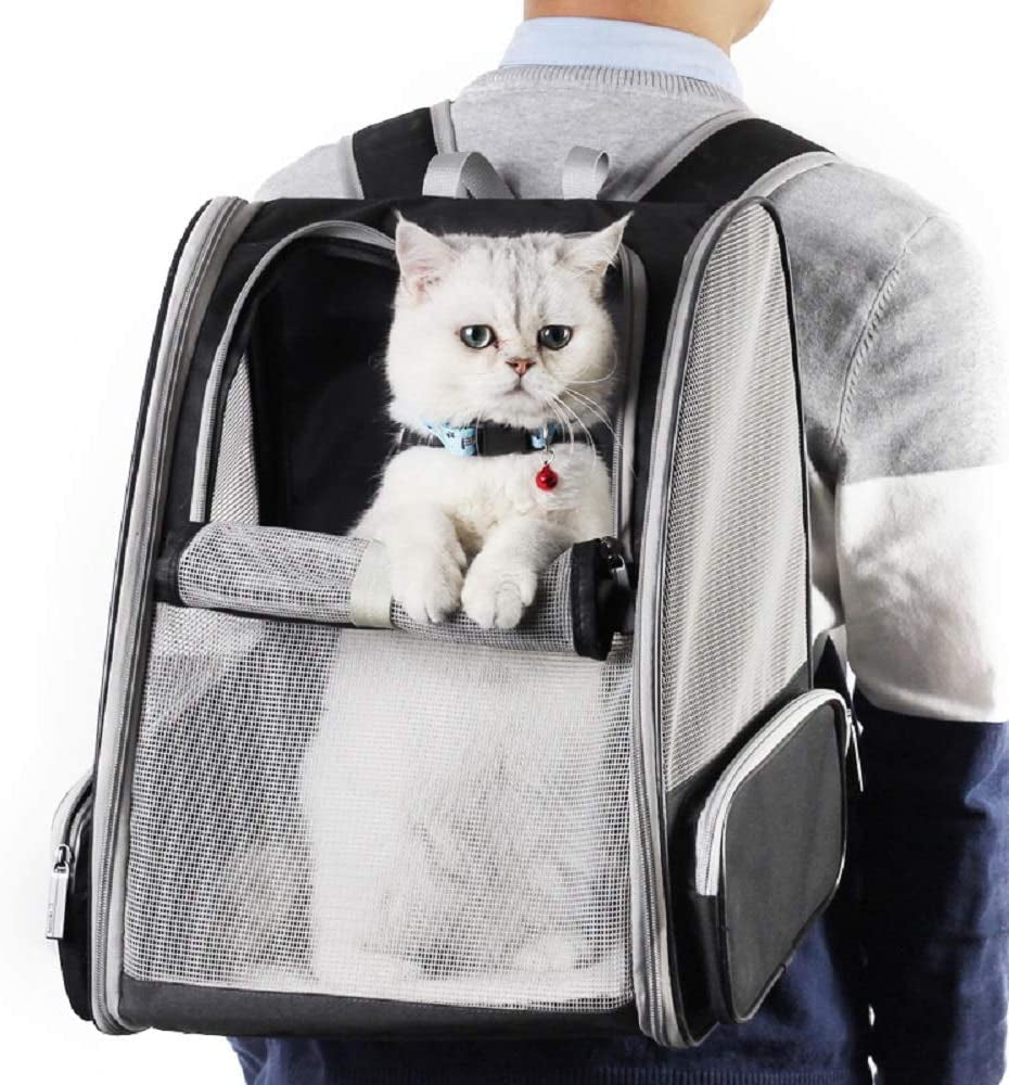 Pet Backpack Carrier for Small Cats Dogs | Ventilated Design, Safety Straps, Buckle Support, Collapsible | Designed for Travel, Hiking, Walking & Outdoor Use - stylishhomedecor2024.com