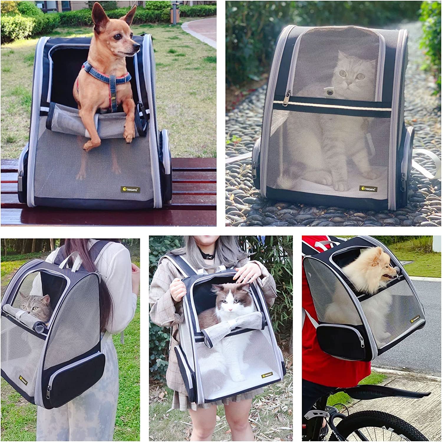 Pet Backpack Carrier for Small Cats Dogs | Ventilated Design, Safety Straps, Buckle Support, Collapsible | Designed for Travel, Hiking, Walking & Outdoor Use - stylishhomedecor2024.com