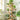 Indoor 6 Tier Wooden Plant Home Decor Stand - stylishhomedecor2024.com