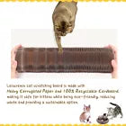 Magic cat toy with rolling ball feature
