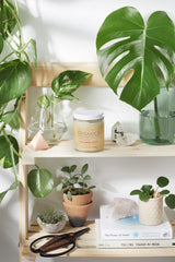 Organic Magnesium Lotion – Relief & Relaxation Cream - stylishhomedecor2024.com