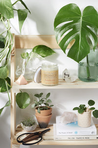 Organic Magnesium Lotion – Relief & Relaxation Cream - stylishhomedecor2024.com
