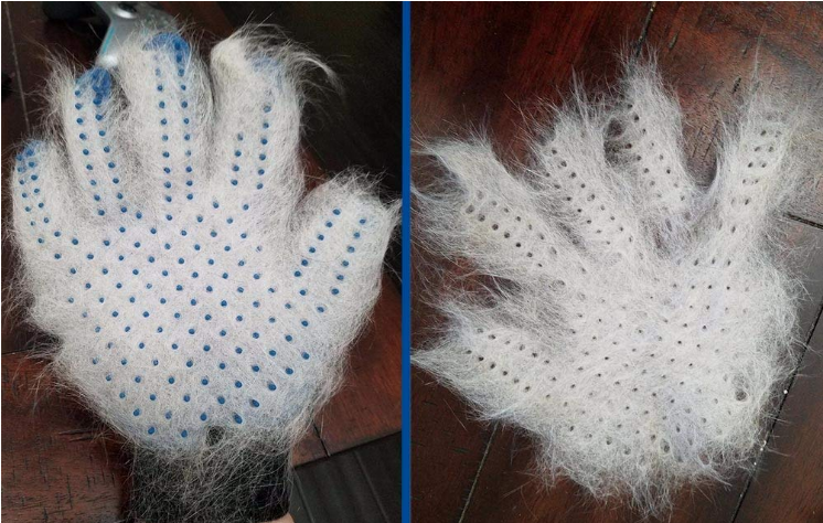 Pet Grooming Glove - stylishhomedecor2024.com