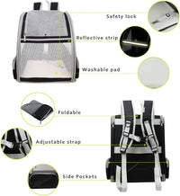 Pet Backpack Carrier for Small Cats Dogs | Ventilated Design, Safety Straps, Buckle Support, Collapsible | Designed for Travel, Hiking, Walking & Outdoor Use - stylishhomedecor2024.com