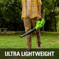 Greenworks 40V Cordless Leaf Blower – Tool Only - stylishhomedecor2024.com