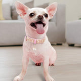 Bling Rhinestone Cat and Dog Collar - stylishhomedecor2024.com