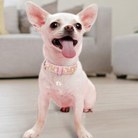 Bling Rhinestone Cat and Dog Collar - stylishhomedecor2024.com